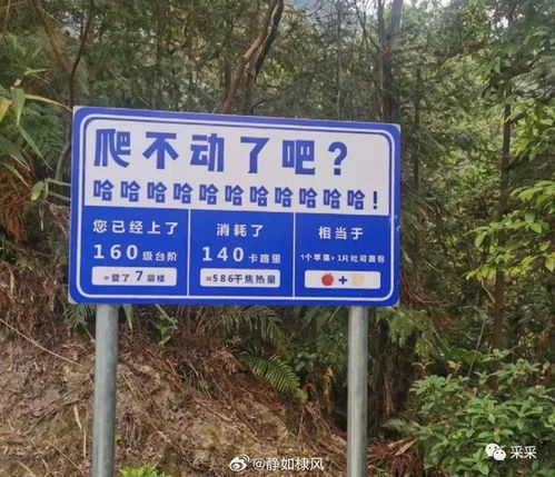 你的城市地标路牌有多整活？搞笑路牌合集盘点