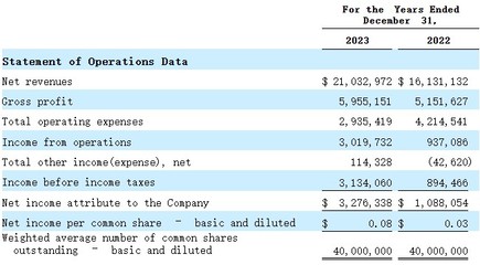 美股新股前瞻 | 中喜传媒 年营收2000万美元，代理与自制业务失衡暴露隐忧